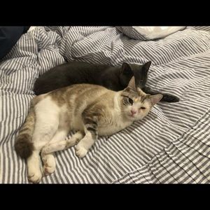 Meet your Posher, Mai-lyn